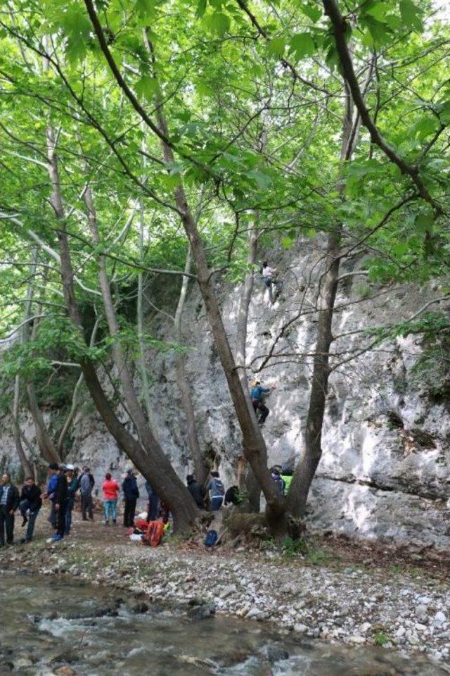 Gelemiç’te Gençlik Ve Doğa Şenliği