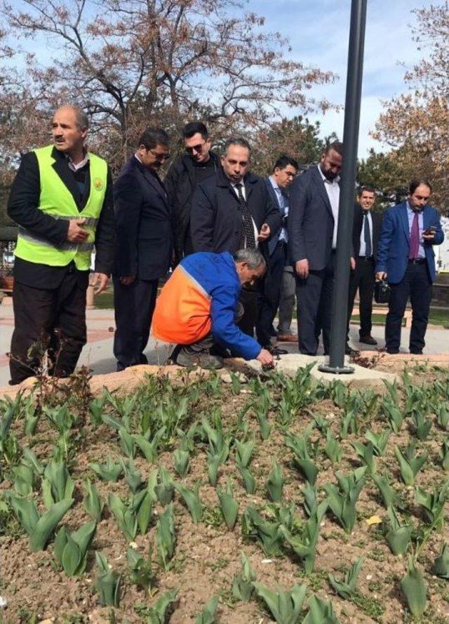 Van Büyükşehir İle İpekyolu Belediyelerinden Ortak Denetim