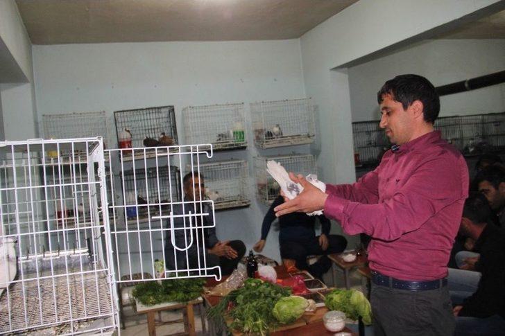 Güvercin Tutkunları Bunu Da Yaptı G2