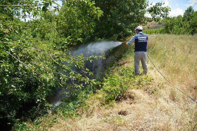 Zararlı Vektörlerle Mücadelede 55 Bin 300 Litre İlaç Kullanıldı