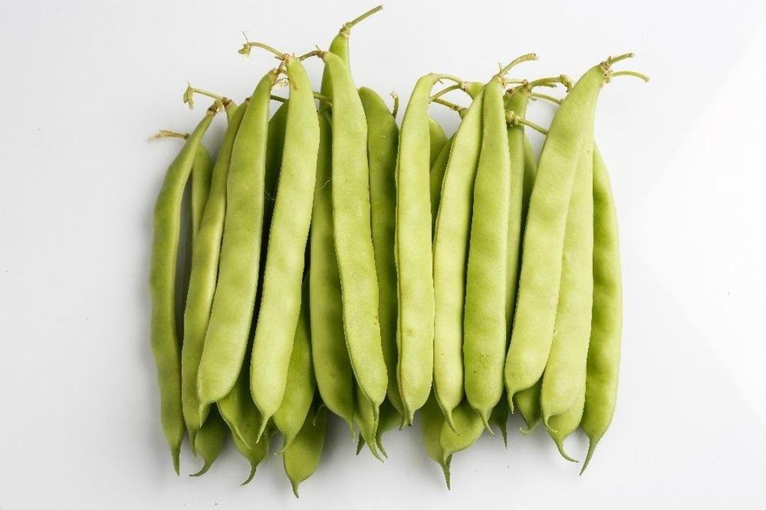 May Tohum&rsquo;un Ar-ge Yatırımları Artarak Devam Ediyor