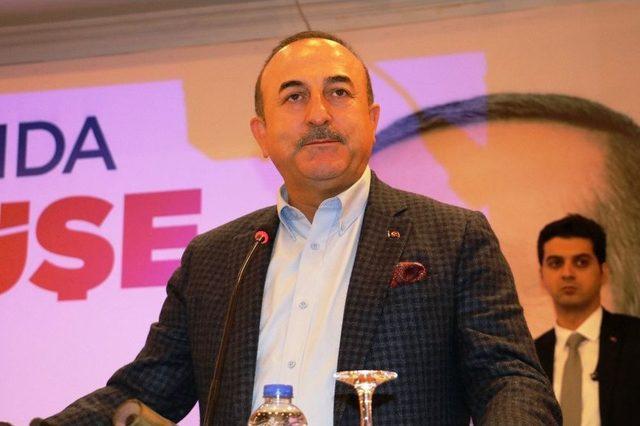 Dışişleri Bakanı Mevlüt Çavuşoğlu: 