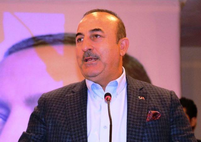 Dışişleri Bakanı Mevlüt Çavuşoğlu: 