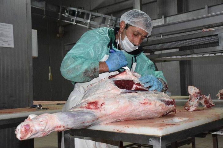 Bingöl’de Ramazan Öncesi Ucuz Et Kuyruğu G3