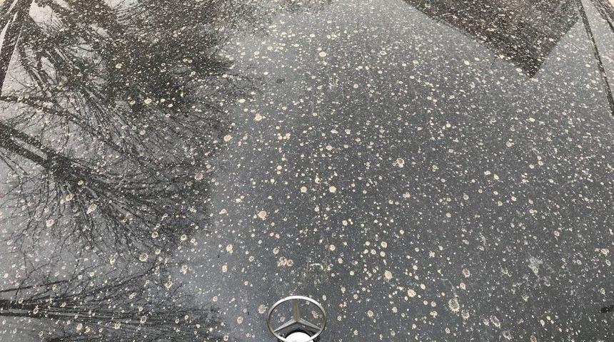 Sabah Kalktılar Toz Yağmuruyla Karşılaştılar