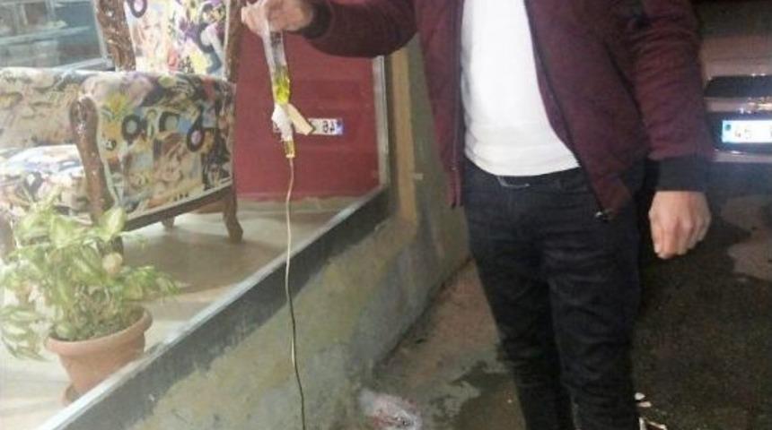 Hasta Sokak K&ouml;peğine Serum Bağlattı