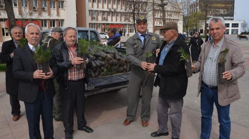 Bin Fidan 20 Dakikada T&uuml;kendi