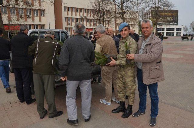 Bin Fidan 20 Dakikada Tükendi