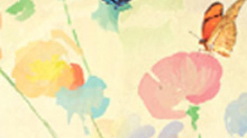 Elvin'den Yeni Çocuk Perdeleri