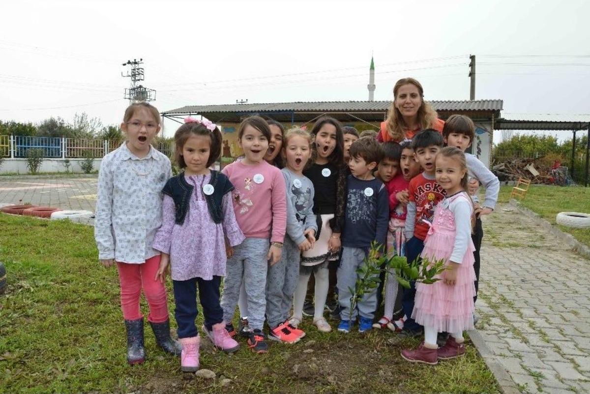 Anaokulu &Ouml;ğrencileri Fidan Dikti