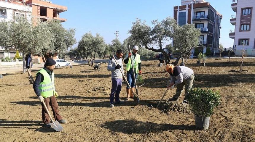 Turgutlu&rsquo;da Ağa&ccedil;landırma &Ccedil;alışması