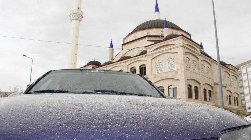 Aydın&rsquo;da &Ccedil;amur Yağmuru