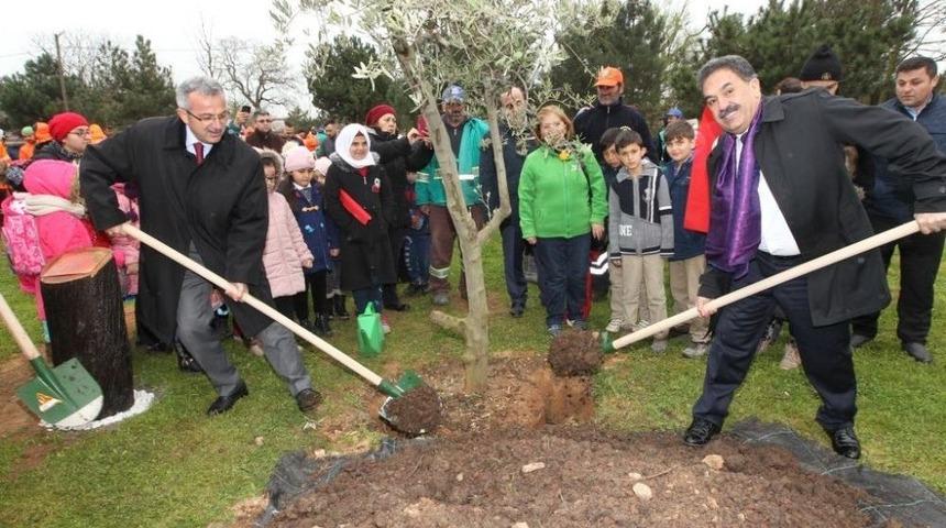 Gebze&rsquo;de Bin Fidan Toprağa Can Verecek