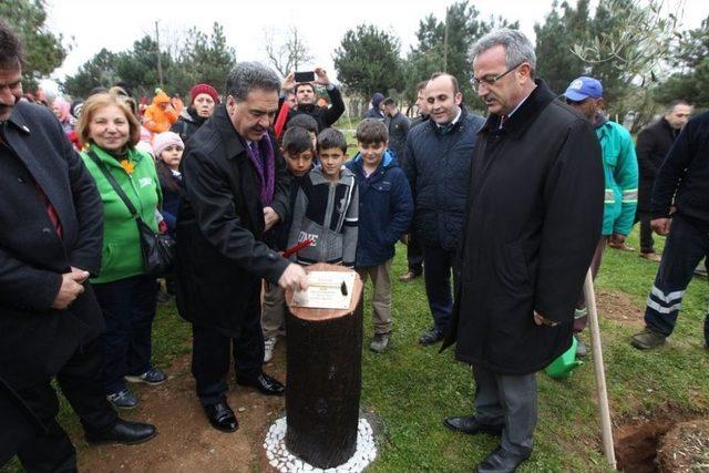 Gebze’de Bin Fidan Toprağa Can Verecek