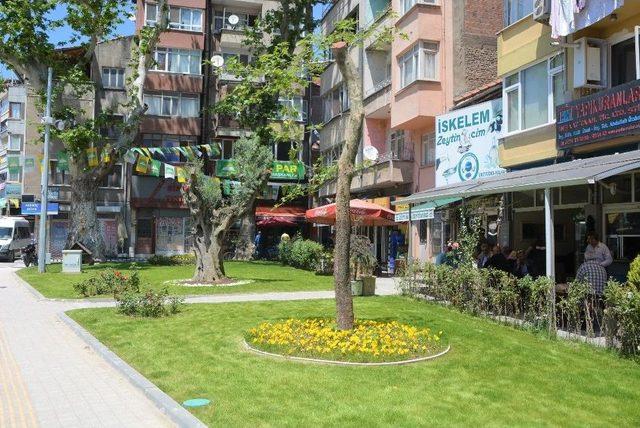 Gemlik Çiçek Açıyor