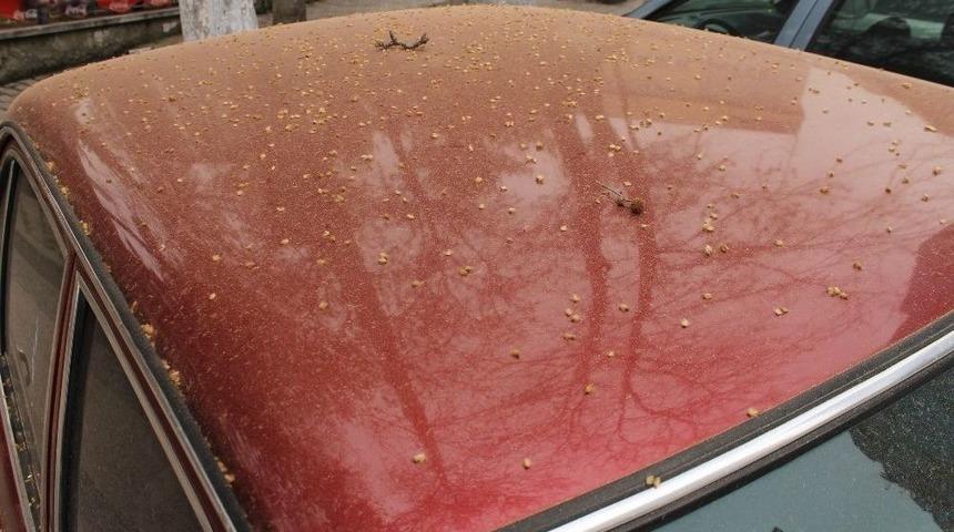 &Ccedil;ankırı&rsquo;ya &Ccedil;&ouml;l Tozları