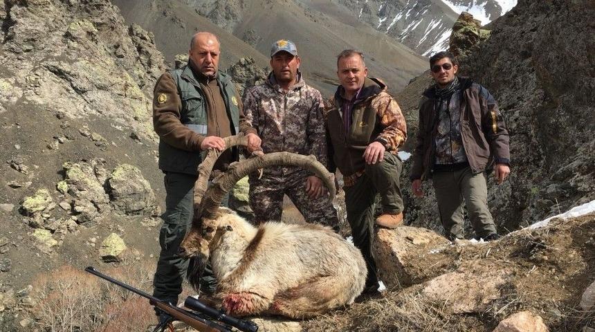 Erzincanlı Avcılar Boynuz Uzunluğu 125 Santimetreyi Bulan Dağ Ke&ccedil;isi Avladı