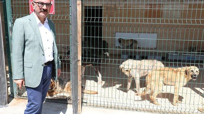 Tanrıkulu: "iddialar Asılsız &Ccedil;ıktı, Edirnelilerden &Ouml;z&uuml;r Dilemeliler"