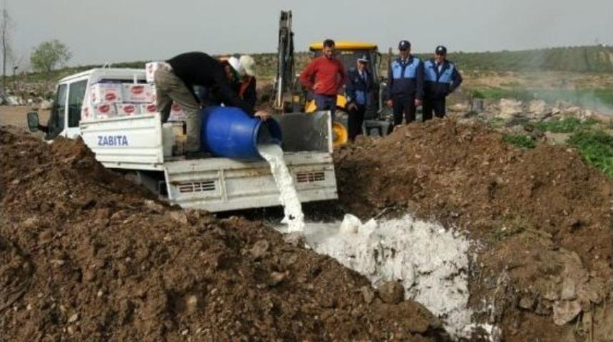Reyhanlı&rsquo;da 2 Bu&ccedil;uk Ton Bozuk S&uuml;t Ve Yoğurt İmha Edildi