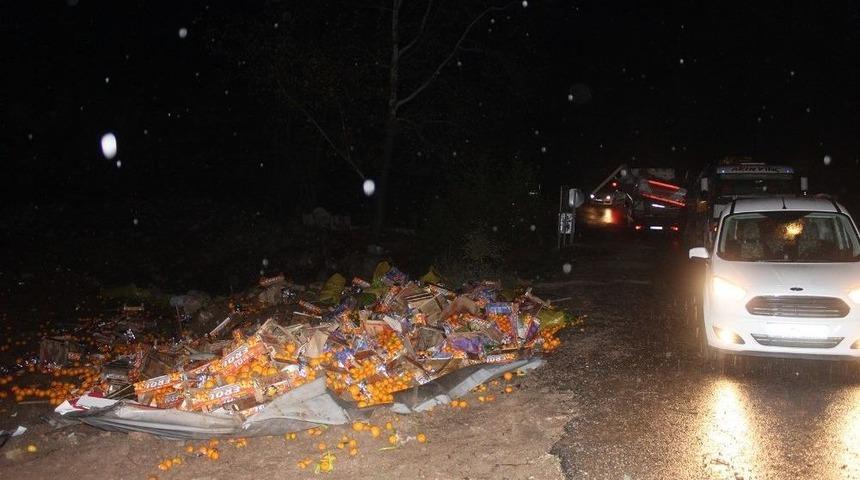 Narenciye Y&uuml;kl&uuml; Kamyon Devrildi, S&uuml;r&uuml;c&uuml;s&uuml; &Ouml;ld&uuml;