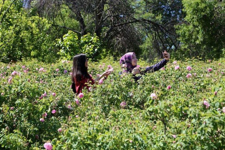 Sdü’lü Kaşiflerin Son Durağı Gül Bahçeleri Oldu G1