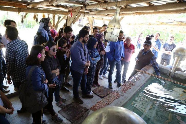 Sdü’lü Kaşiflerin Son Durağı Gül Bahçeleri Oldu G4