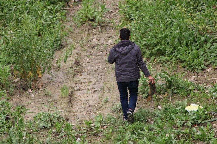 Yeşilırmak’ta Balık Ölümleri G3