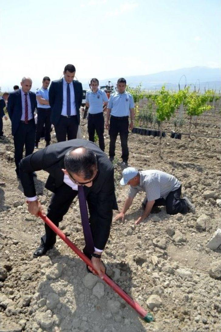 Cezaevi’nde Afrin Şehitleri Anısına Zeytin Fidanı Dikildi G3