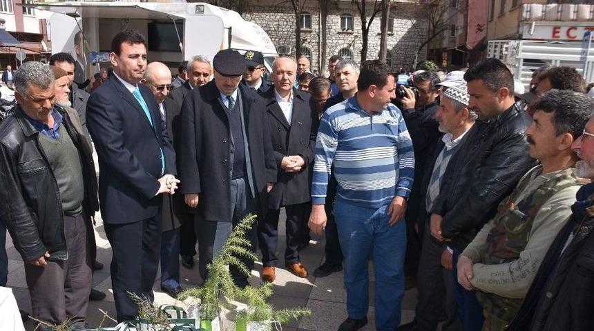 Dursunbey Orman İşletme 11 Bin Fidan Dağıttı