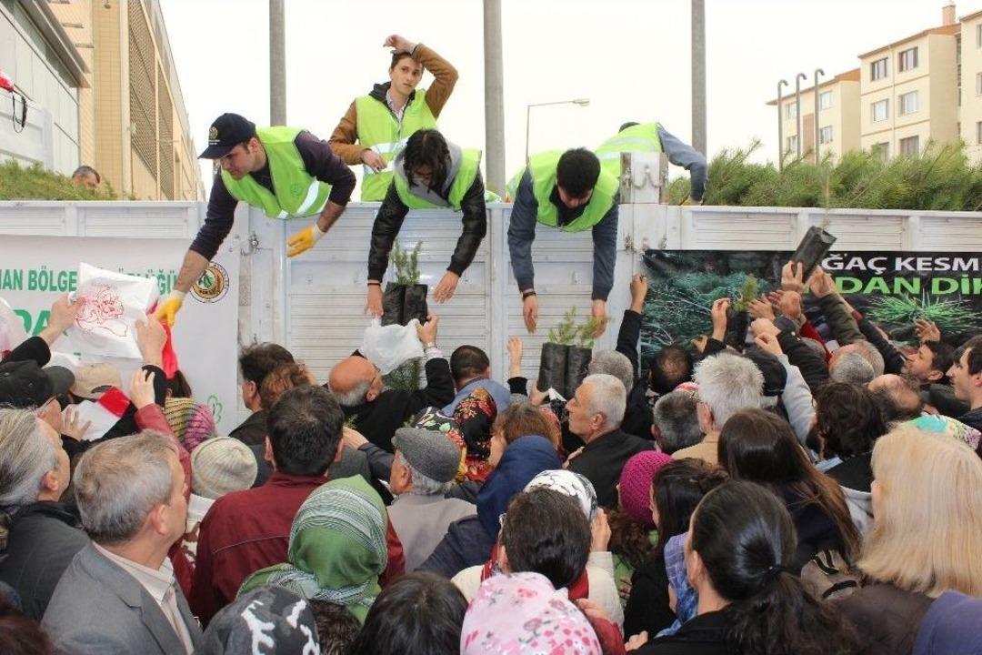 Eskişehir Orman B&ouml;lge M&uuml;d&uuml;rl&uuml;ğ&uuml;&rsquo;n&uuml;n &Uuml;cretsiz Fidan Dağıtımları S&uuml;r&uuml;yor