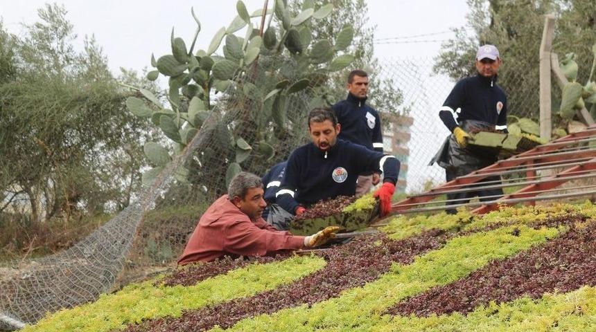 B&uuml;y&uuml;kşehir&rsquo;den Başbuğ&rsquo;a Anlamlı 100. Yıl &Ccedil;alışması
