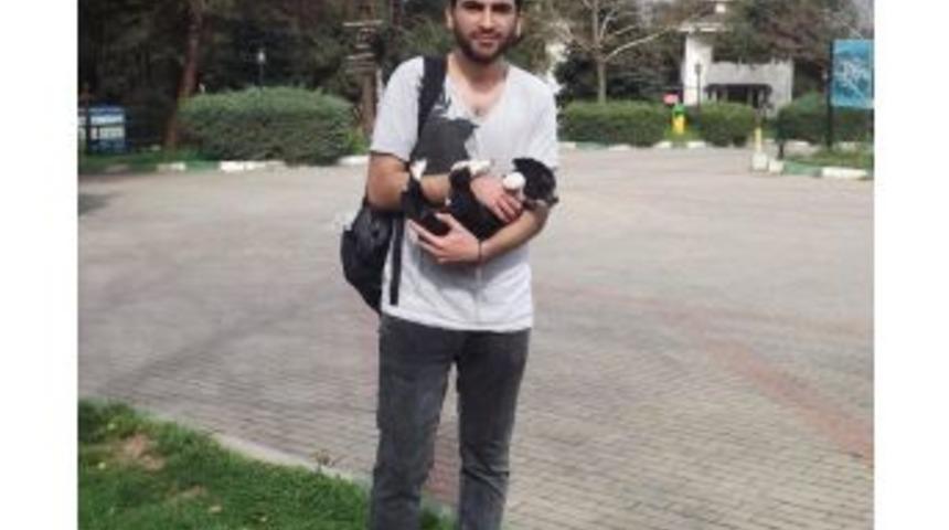 Can Dosta Sıcak Yuva