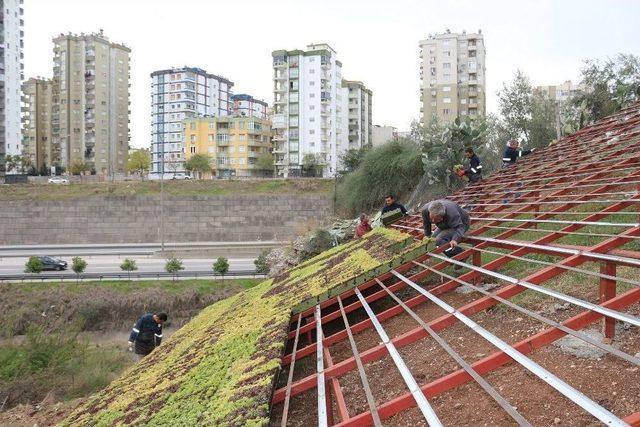 Büyükşehir’den Başbuğ’a Anlamlı 100. Yıl Çalışması 1