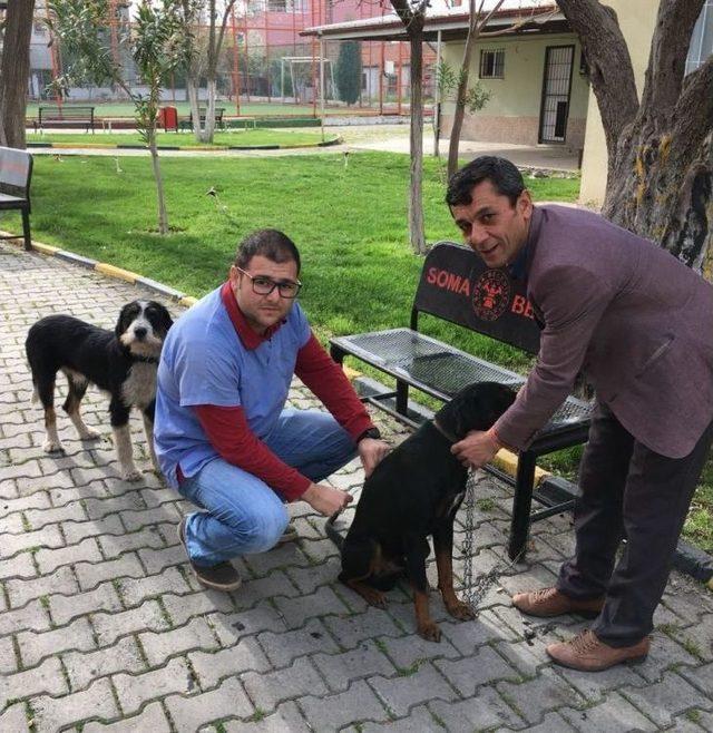 Soma’da Kuduz Endişesi Son Buldu