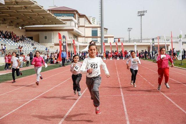 En Hızlılar Yarıştı