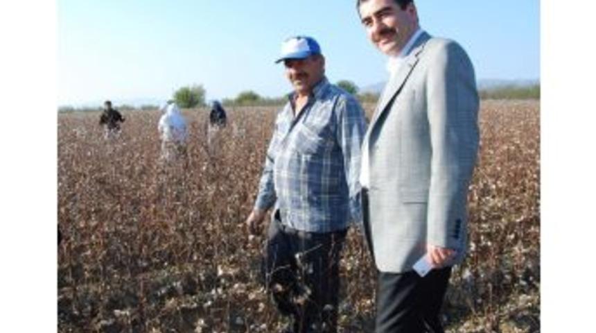 Milletvekili Erdem&rsquo;den Pamuk &Uuml;reticisine &lsquo;şeffalık&rsquo; M&uuml;jdesi