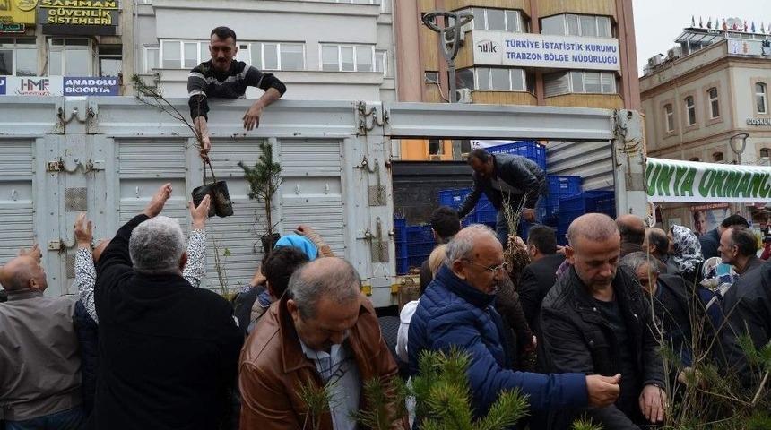 &Uuml;&ccedil; Bin Adet Fidan 30 Dakikada T&uuml;kendi