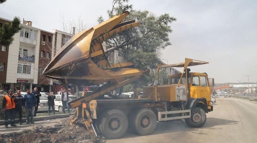 Konya Yolu &Uuml;zerindeki Ağa&ccedil;lar Nakil Ediliyor