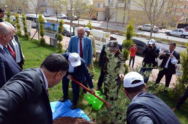 Dünya Ormancılık Günü Kutlandı