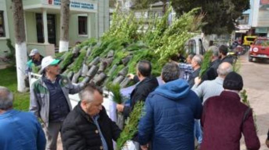 İzniklilere 5 Bin Fidan Dağıtıldı