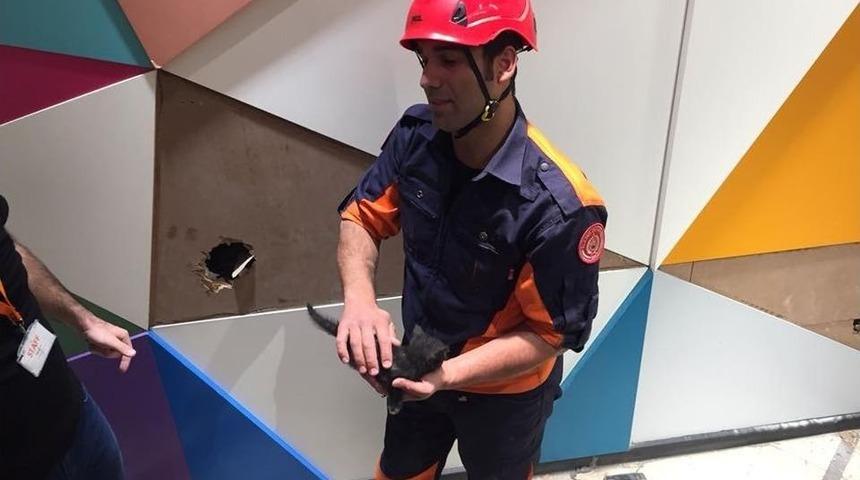 Havalandırma Boşluğundaki Yavru Kedi Kurtarıldı