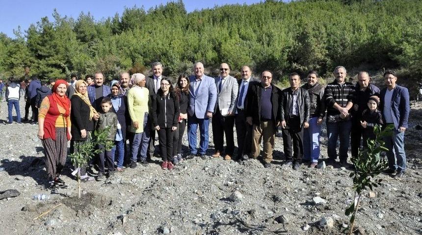 Hatay’da Öğrenciler Narenciye Bahçesi Kurdu
