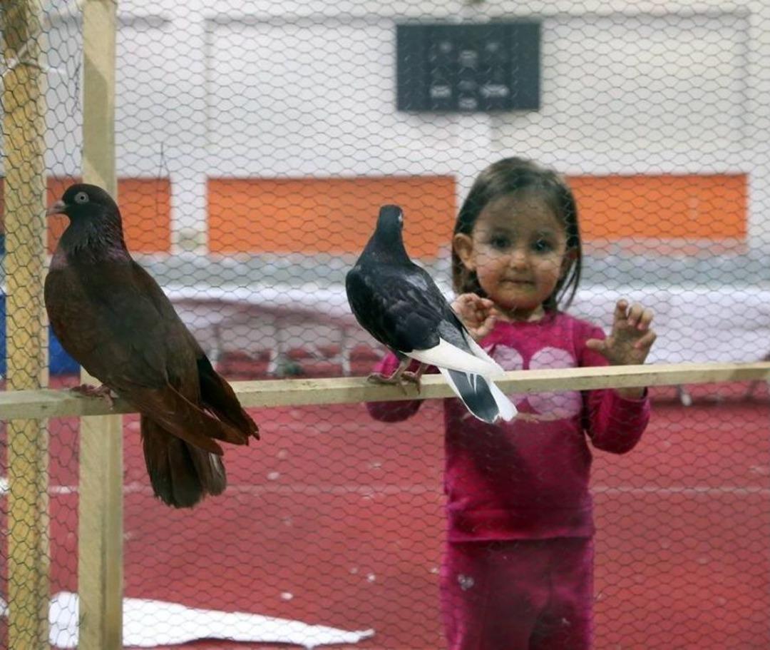 G&uuml;vercin Meraklıları Tekirdağ&rsquo;da Buluştu
