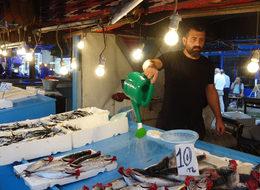 Karadeniz'de fırtına çıktı, palamut fiyatı yükseldi