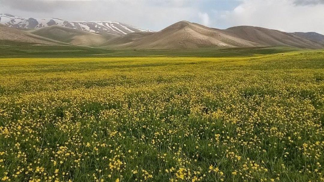 Van&rsquo;ın Ovaları Rengarenk