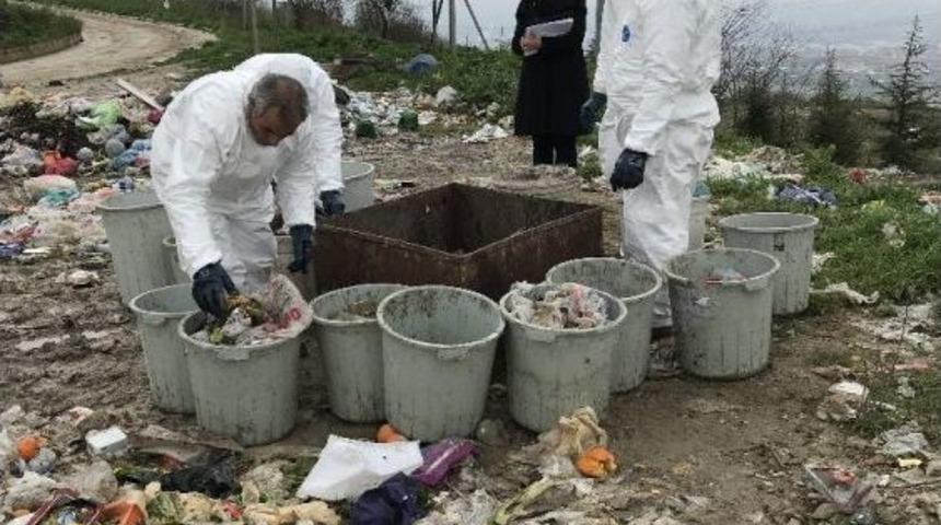 Zararlı Atıkların B&uuml;y&uuml;k Bir Kısmını Mutfak Atıklarının Oluşturduğu Belirlendi