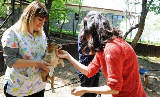 Büyükşehirden Hayvanlara Mama Üretim Fabrikası