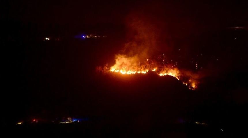 Giresun&rsquo;da Orman Yangını