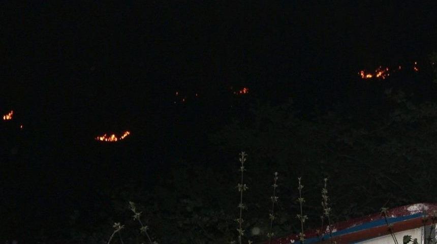 Giresun&rsquo;da Orman Yangınları