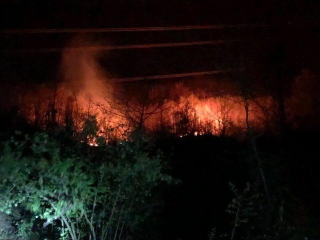 Giresun’da Orman Yangınları